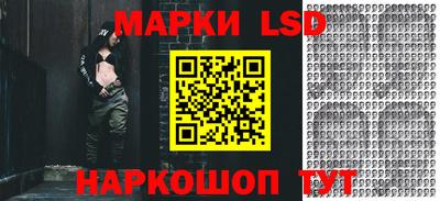 jwh Бердск