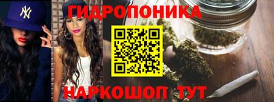 jwh Бердск